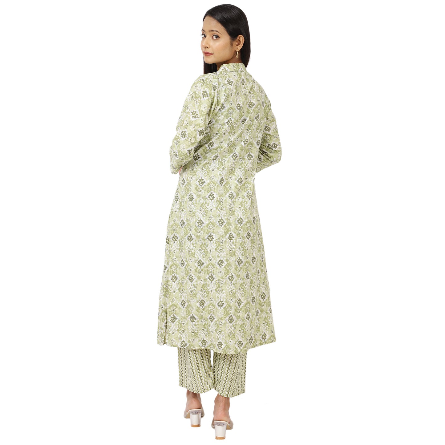 Back view Elegant Indian Ethnic Wear by ZS Fashion